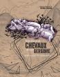 Sépultures De Chevaux Devant Gergovie - Preview