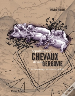 Capa do artigo Sépultures De Chevaux Devant Gergovie