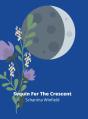 Sequin For The Crescent - Preview