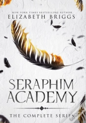 Capa do artigo Seraphim Academy