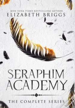 Capa do artigo Seraphim Academy
