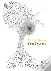 Serenade