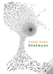 Capa do artigo Serenade