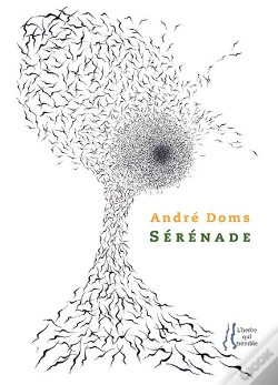Capa do artigo Serenade