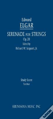 Serenade For Strings, Op.20