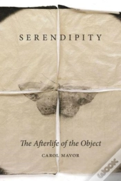 Capa do artigo Serendipity