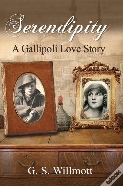 Capa do artigo Serendipity