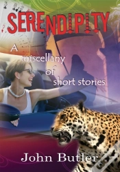 Capa do artigo Serendipity