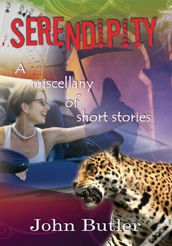 Capa do artigo Serendipity