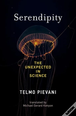 Capa do artigo Serendipity