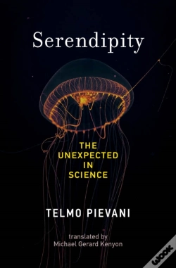 Capa do artigo Serendipity