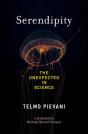 Serendipity - Preview