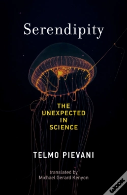 Capa do artigo Serendipity