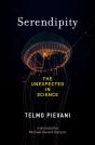 Serendipity - Preview
