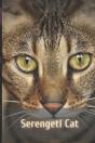 Serengeti Cat - Preview