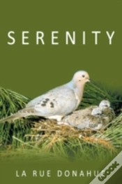 Capa do artigo Serenity
