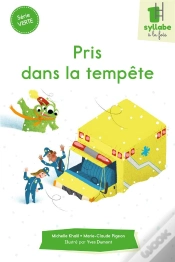 Capa do artigo Serie Verte - Pris Dans La Tempete