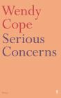 Serious Concerns - Preview