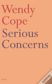 Capa do artigo Serious Concerns