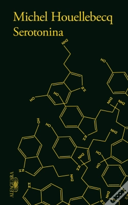 Capa do artigo Serotonina