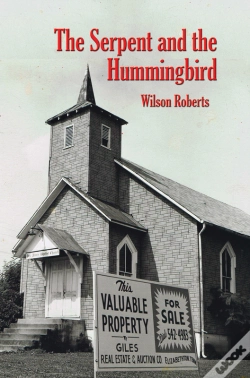 Capa do artigo Serpent And The Hummingbird