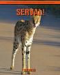 Serval! An Educational Children'S Book About Serval With Fun Facts - Preview