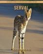 Serval - Preview