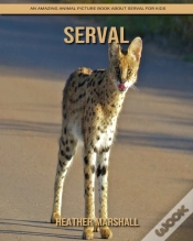 Capa do artigo Serval