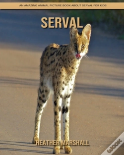 Capa do artigo Serval