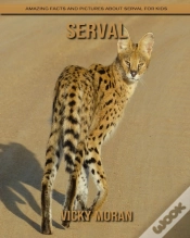 Capa do artigo Serval