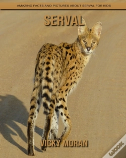 Capa do artigo Serval