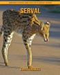 Serval - Preview