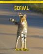 Serval - Preview