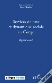 Services De Base Et Dynamique Sociale Au Congo ; Regards Croisés