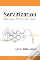 Servitization
