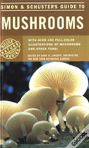 Capa do artigo S&S Guide To Mushrooms