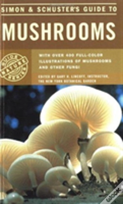 Capa do artigo S&S Guide To Mushrooms