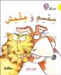 Sesame And Apricot - Preview