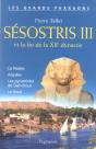 Sesostris Iii Et La Fin De La Xii Dynastie - Preview
