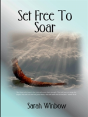 Set Free To Soar - Preview