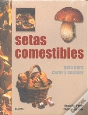 Capa do artigo Setas Comestibles Guia Para Cazar Y Cocinar