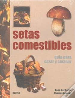 Capa do artigo Setas Comestibles Guia Para Cazar Y Cocinar