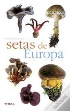 Setas De Europa