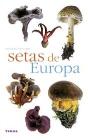 Setas De Europa - Preview