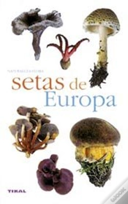 Capa do artigo Setas De Europa