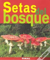Capa do artigo Setas Del Bosque