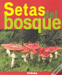 Capa do artigo Setas Del Bosque