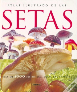 Capa do artigo Setas