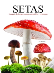 Capa do artigo Setas