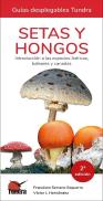 Setas Y Hongos. Introduccion A Las Especies Ibericas, Baleares Y